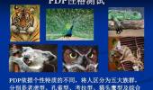 PDP测评工具与算命